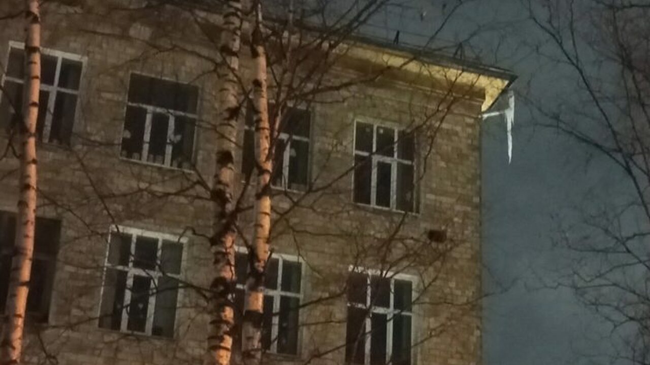«Пришла на работу и не вернулась»: россияне в шоке от гибели учителя Реакция общественности на трагическую смерть же...