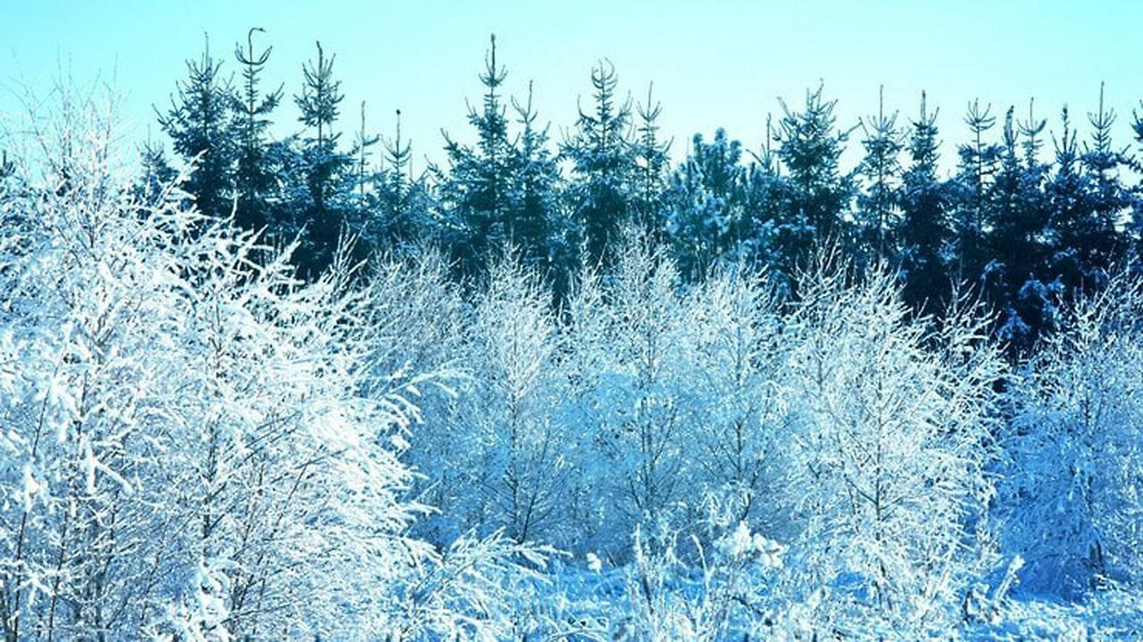 Завтра, 20 января, в РТ синоптики сообщают об и...