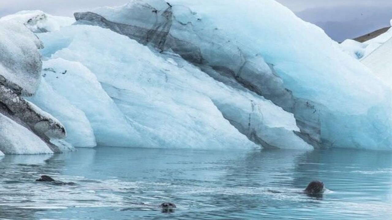 4 января международная исследовательская группа...