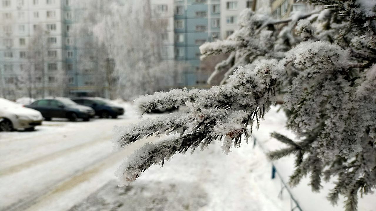 В этот выходной, 18 января, в республике прогно...