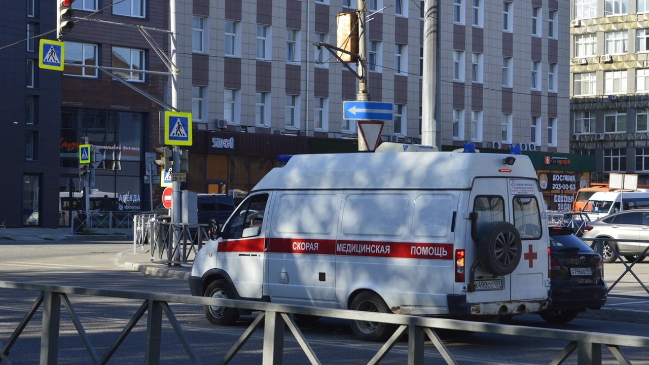 В 2025 году в России зафиксирован резкий рост ч...