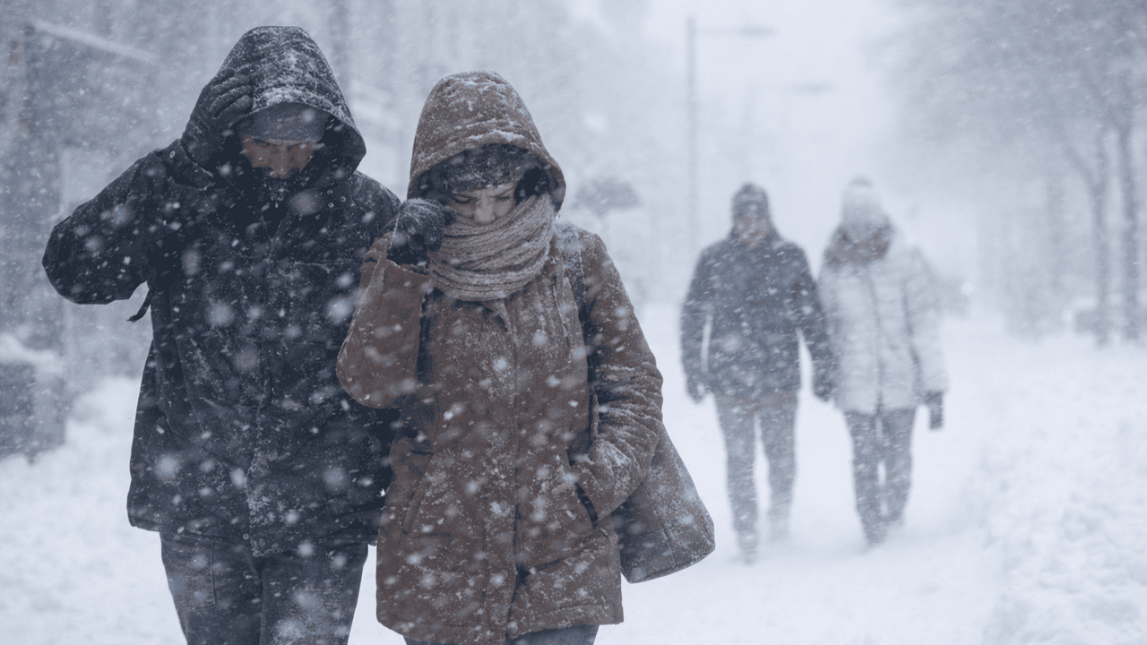 Жители, пострадавшие из-за неубранного снега и ...