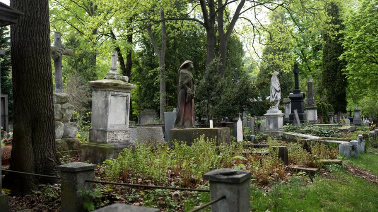 Протоиерей Александр Овчаренко рассматривает ко...