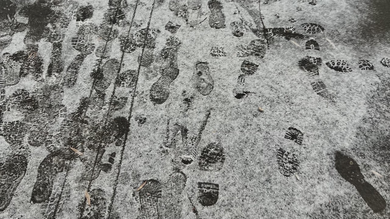 Власти Казани выделят 242,5 миллиона рублей на ...