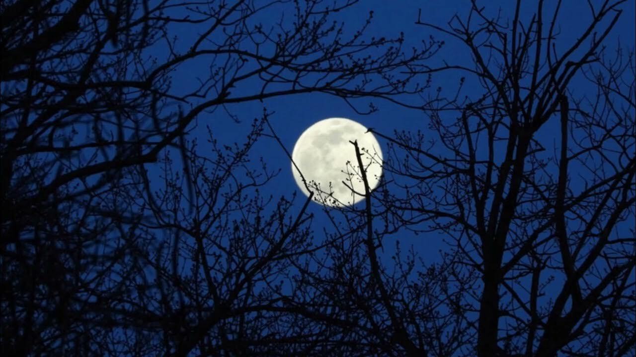 Как полнолуние влияет на настроение и здоровье — советы астропсихолога Полнолуние традиционно считается периодом повыш...