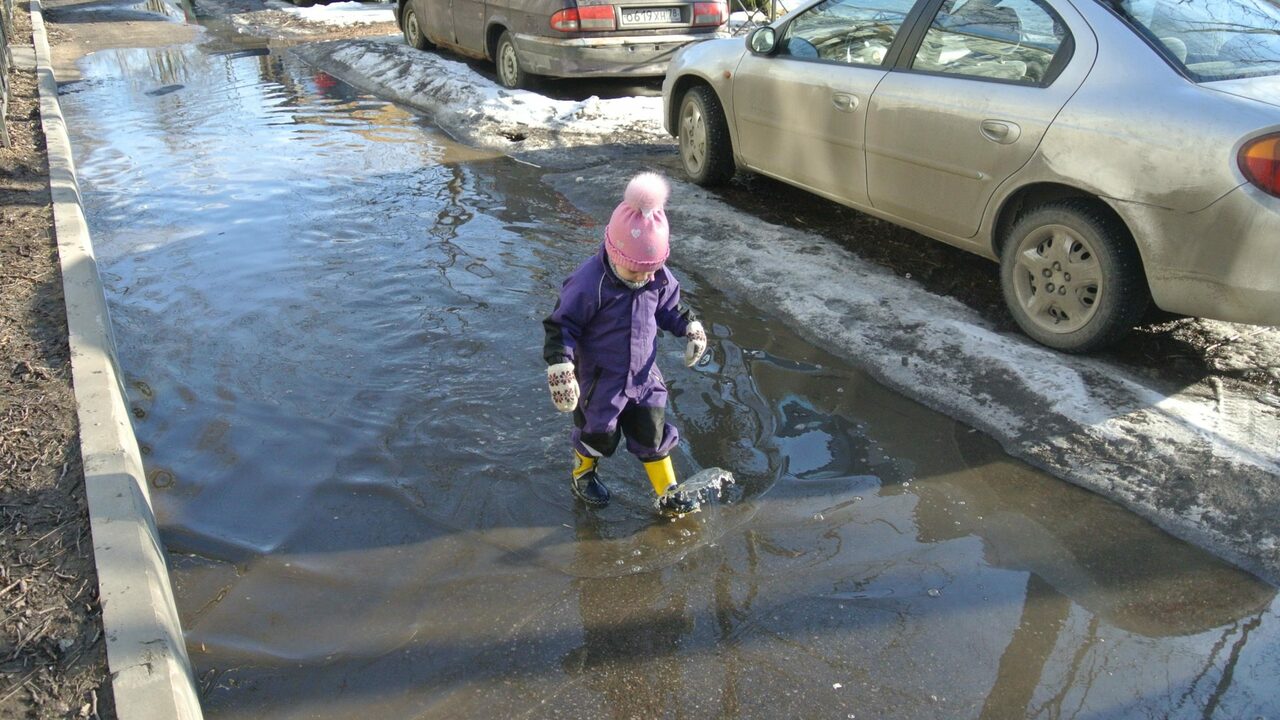 Аномальная жара +20 наступит в марте: лето ждём на два месяца раньше В этом году весна решительно отодвинула границы...