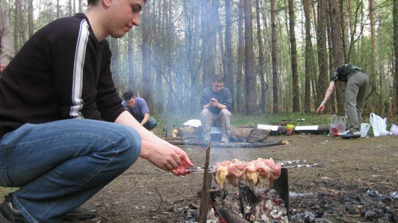 Штрафы за пикник: где теперь нельзя парковаться...
