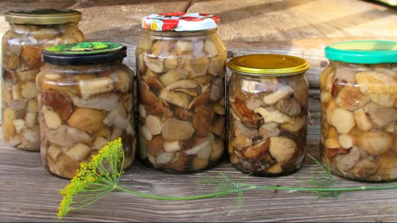 Шеф-повара маринуют грибы по легкому рецепту: в разы вкуснее магазинных Не нужно покупать грибы в магазине, чтобы порад...