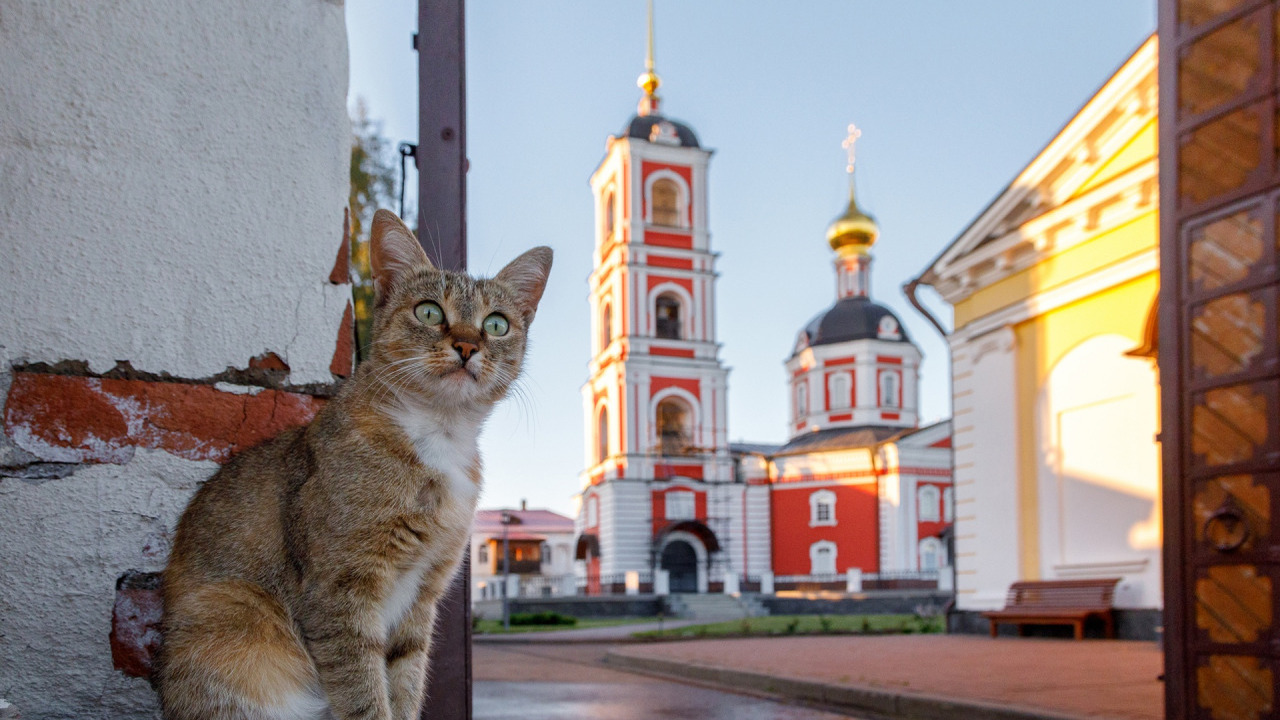 Что нельзя делать 29 июня, чтобы избежать несчастий Что нельзя делать 29 июня, чтобы избежать несча...