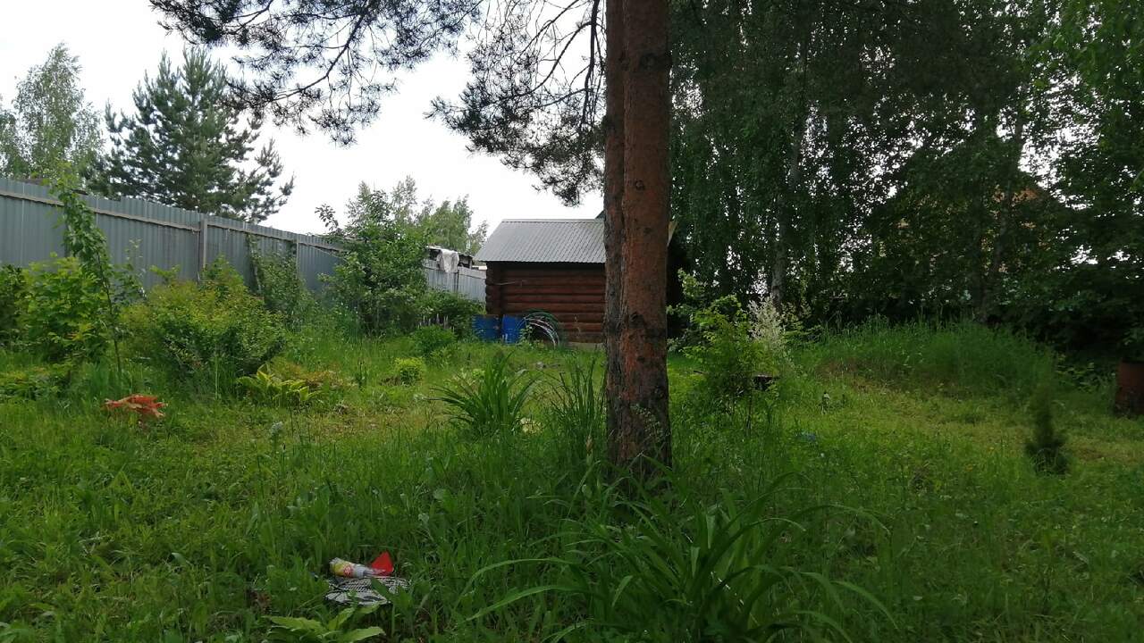 Аномально мягкая зима часто «экономит» нервы до...