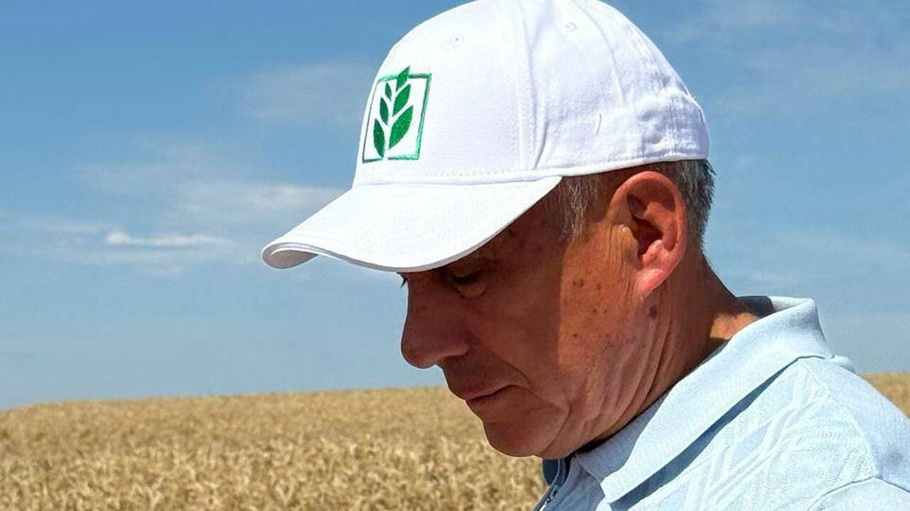 Минниханов проверил, как идет жатва в районах Татарстана В Татарстане продолжается уборка урожая, несмот...