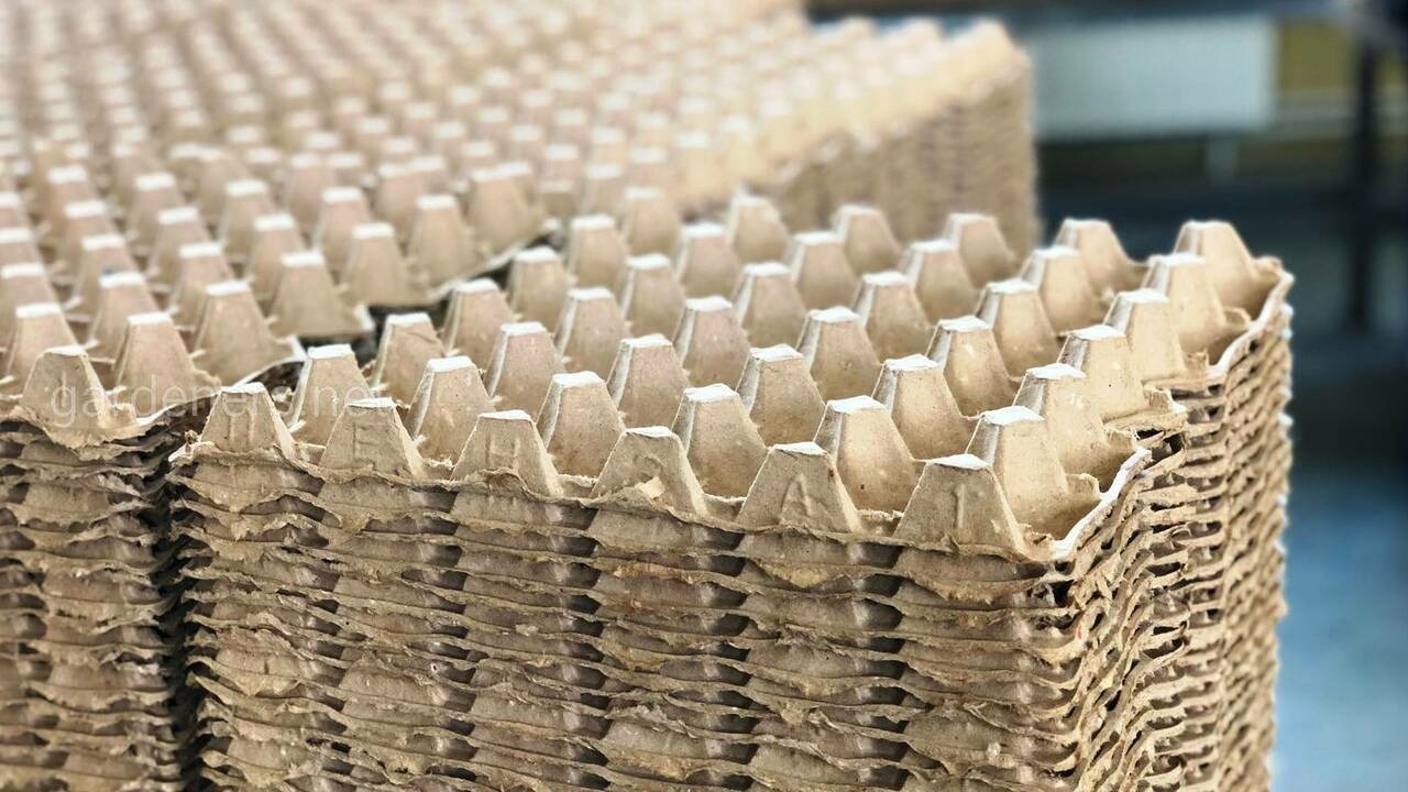 Осенний урожай требует особых условий хранения,...