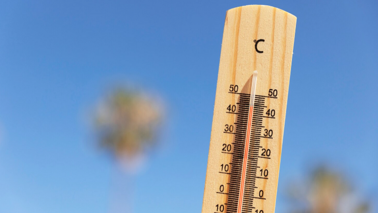 Исследование, опубликованное в журнале "Environ...