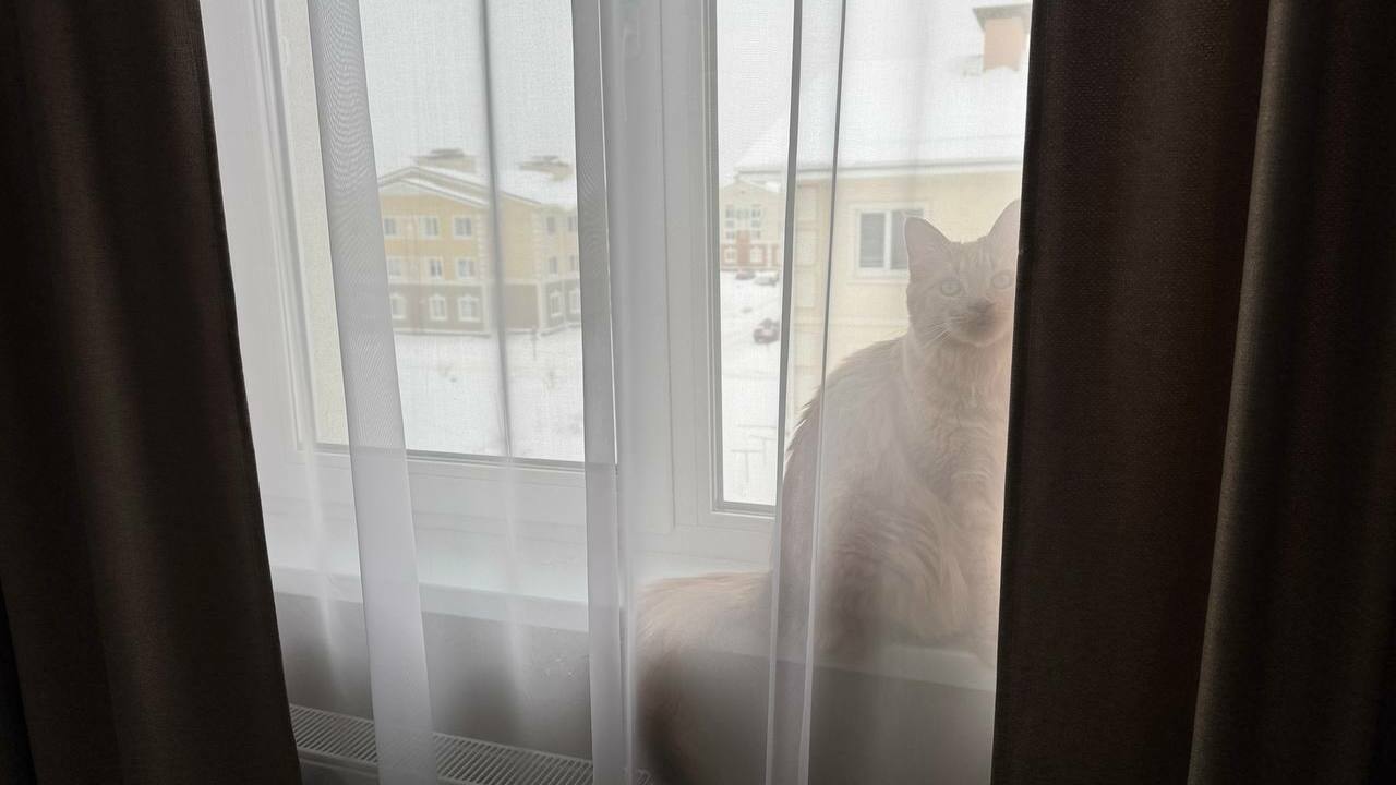 Наклеили за пять минут и не мерзнем: забыли про сквозняки из окон, а подоконник теплый Если ваши окна пропускают холод, а подоконник с...