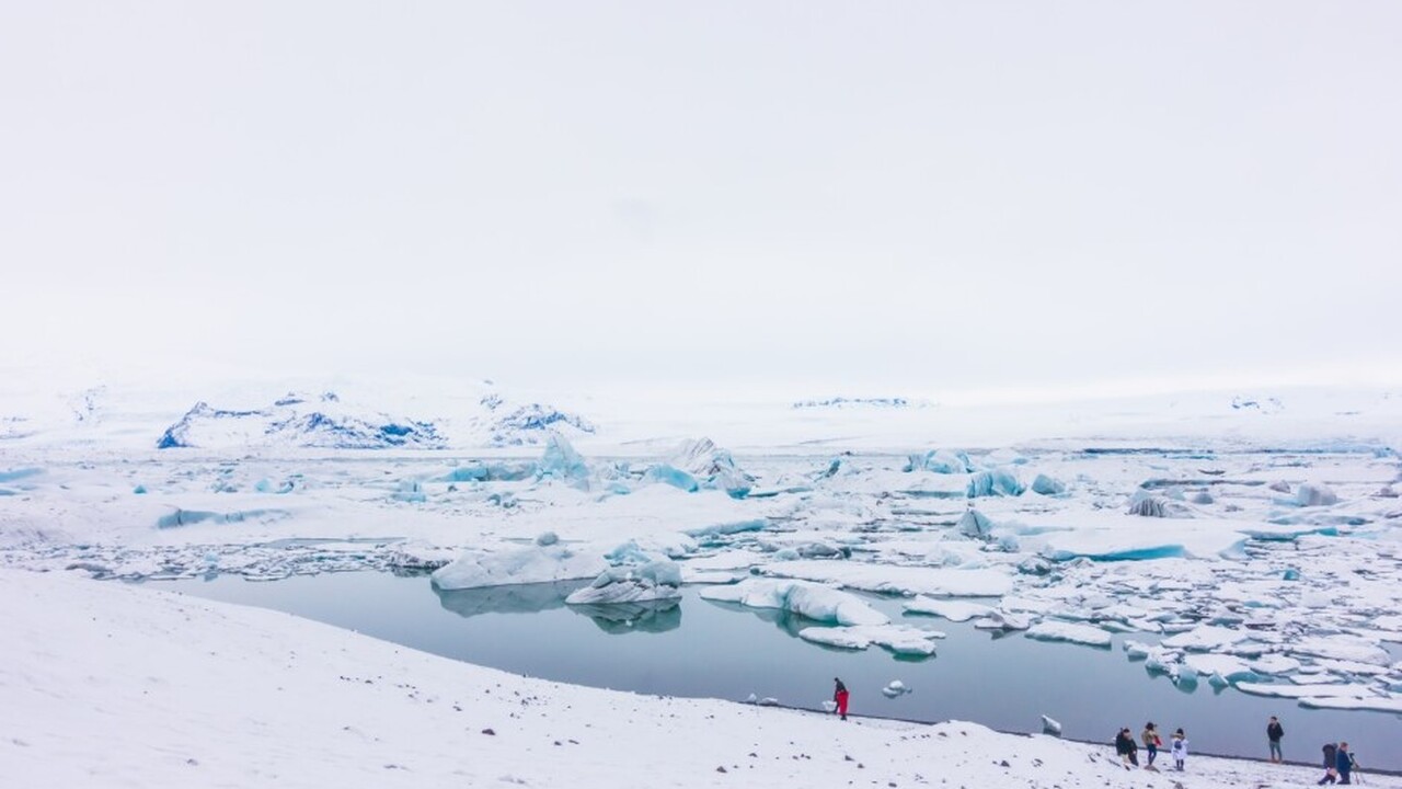 В Антарктиде стартовала международная научная э...