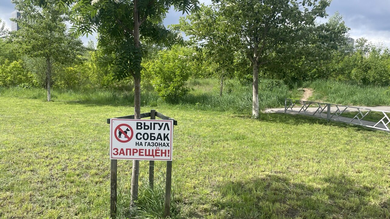 Битва за двор: как собаки становятся поводом для ссор между соседями В Татарстане продолжаются споры о допустимости ...