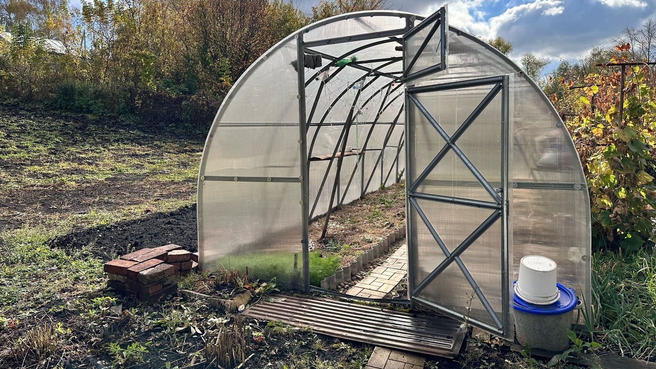 Каким будет лето 2026 после аномальной зимы: прогнозы, которые настораживают садоводов Аномально тёплая и малоснежная зима может стать...