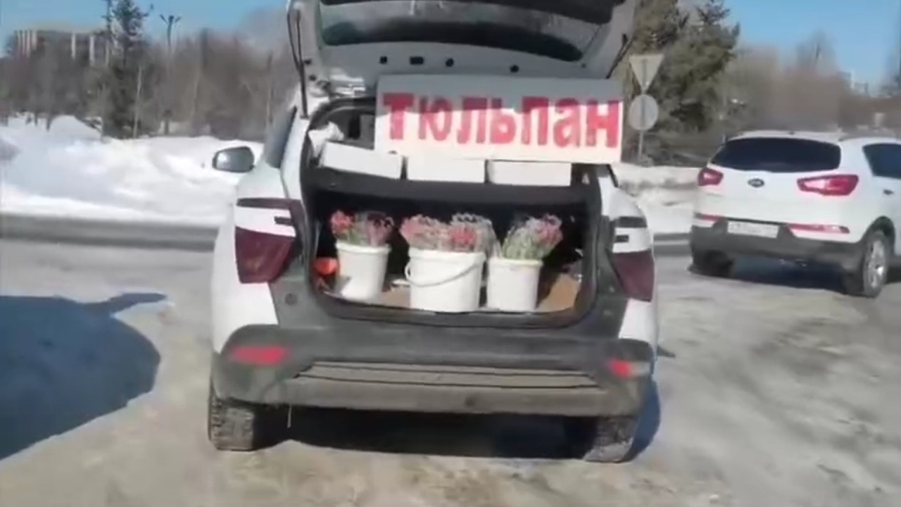 Госавтоинспекция Казани провела рейды против не...