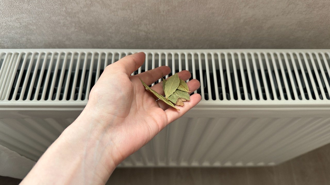 С первыми холодами спасаюсь простым приёмом: лавровый лист на батарее творит чудеса С наступлением холодов в квартирах начинает суш...