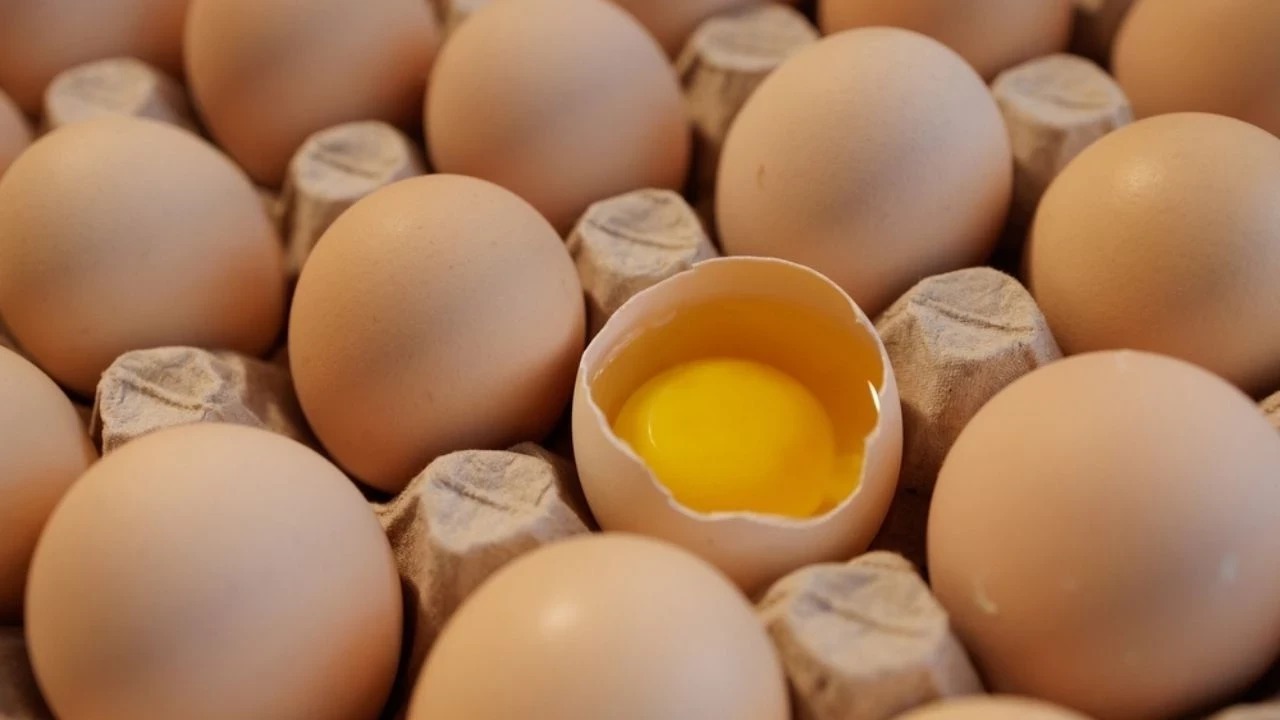 Яйца — один из самых популярных продуктов для з...