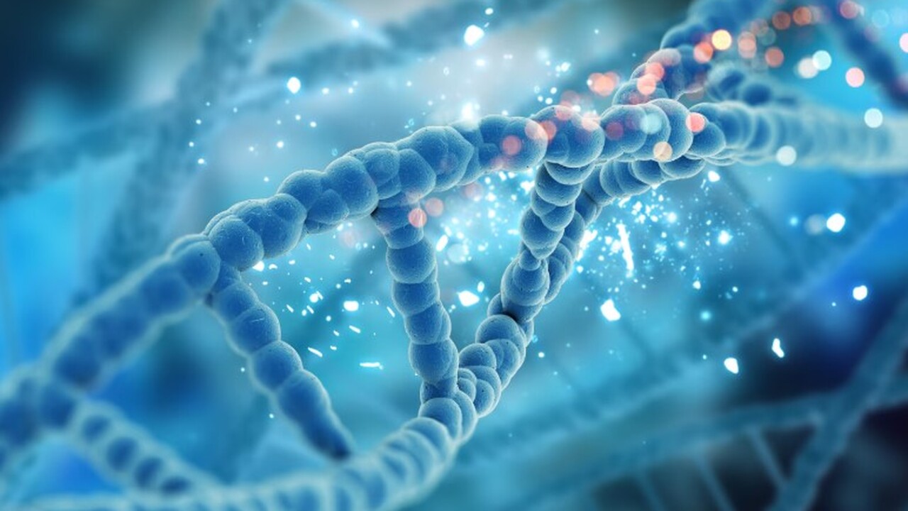 Учёные из Европы и Южной Африки осуществили пал...