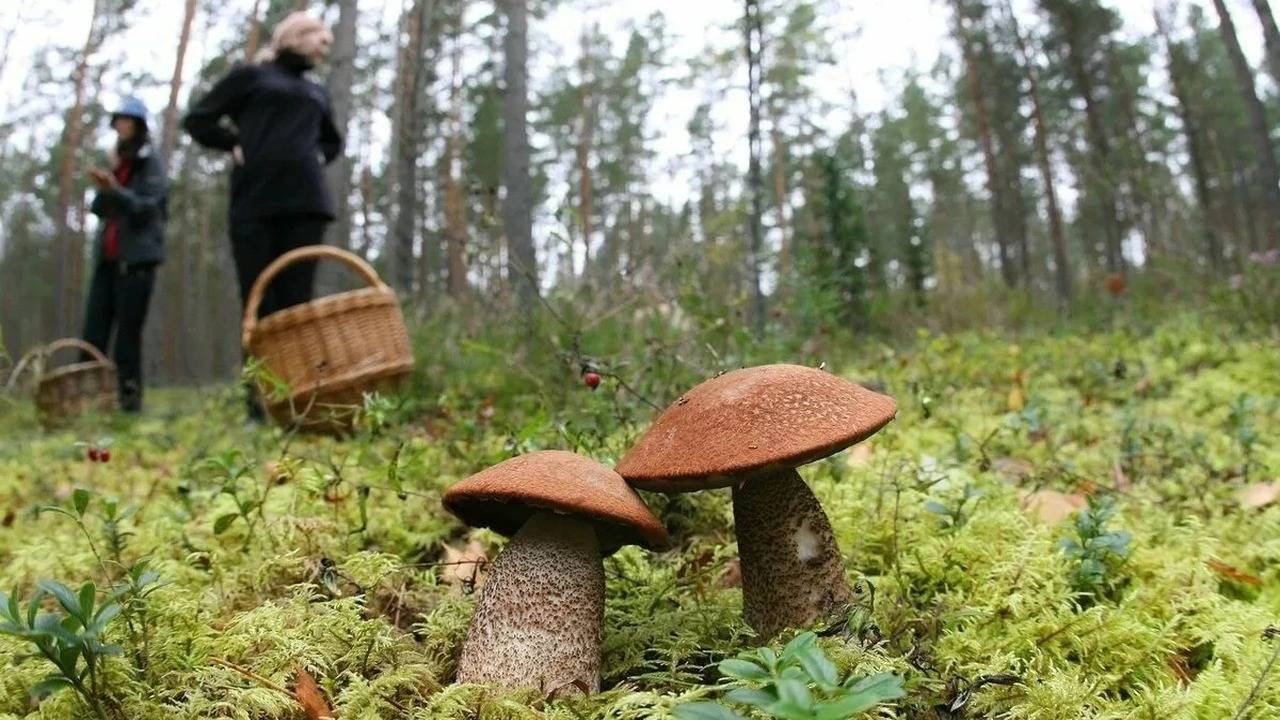 Сентябрь традиционно считается благоприятным вр...