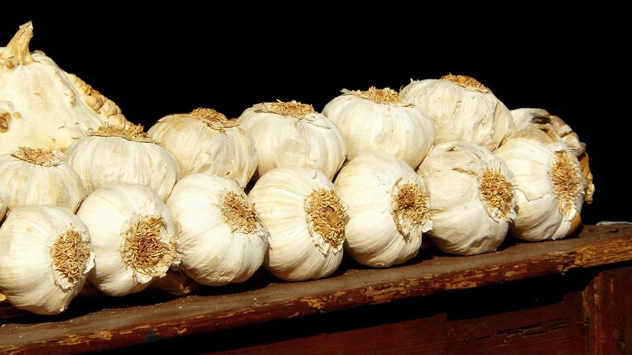 Забудьте о мелком чесноке: определяем оптимальные даты посадки в ноябре 2025 по лунному календарю — 6 важных дат Многие садоводы сталкиваются с тем, что чеснок,...