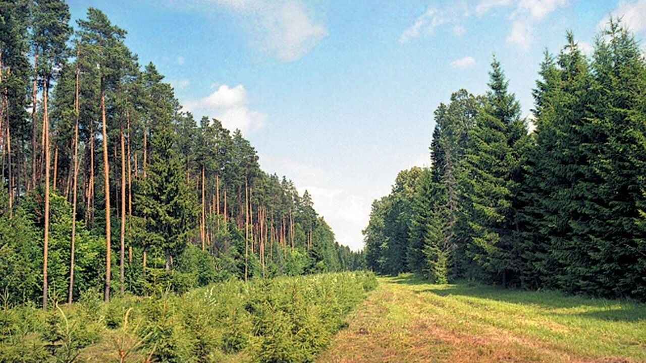 Инспекторы в Татарстане проверили свыше 170 тысяч гектаров земли за пять месяцев С начала 2025 года государственные инспекторы в...