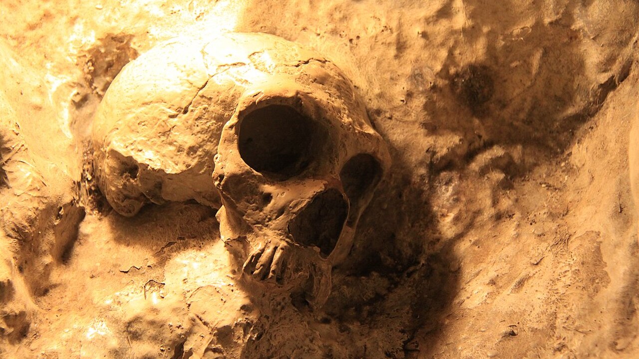 Археологи нашли следы каннибализма возрастом 850 тысяч лет В Испании, на раскопках в пещере Гран Долина (а...