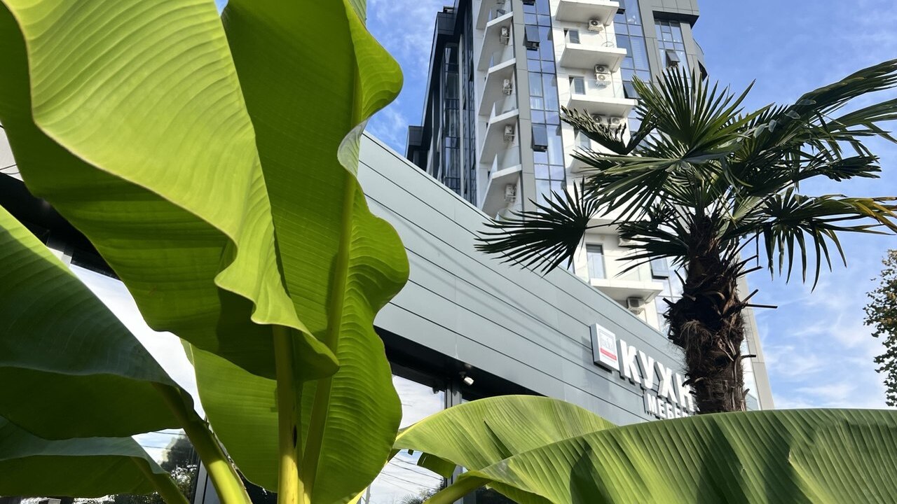 Сочи традиционно остаётся одним из самых востре...