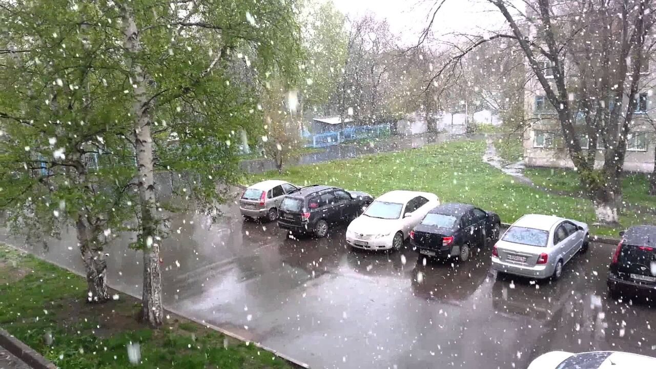 Метеорологи представили обновлённые сведения о ...