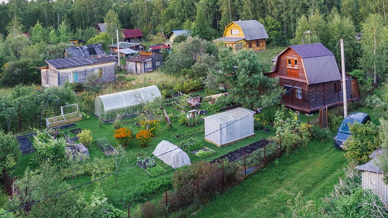 На даче теперь нельзя делать всё, что хочется —...
