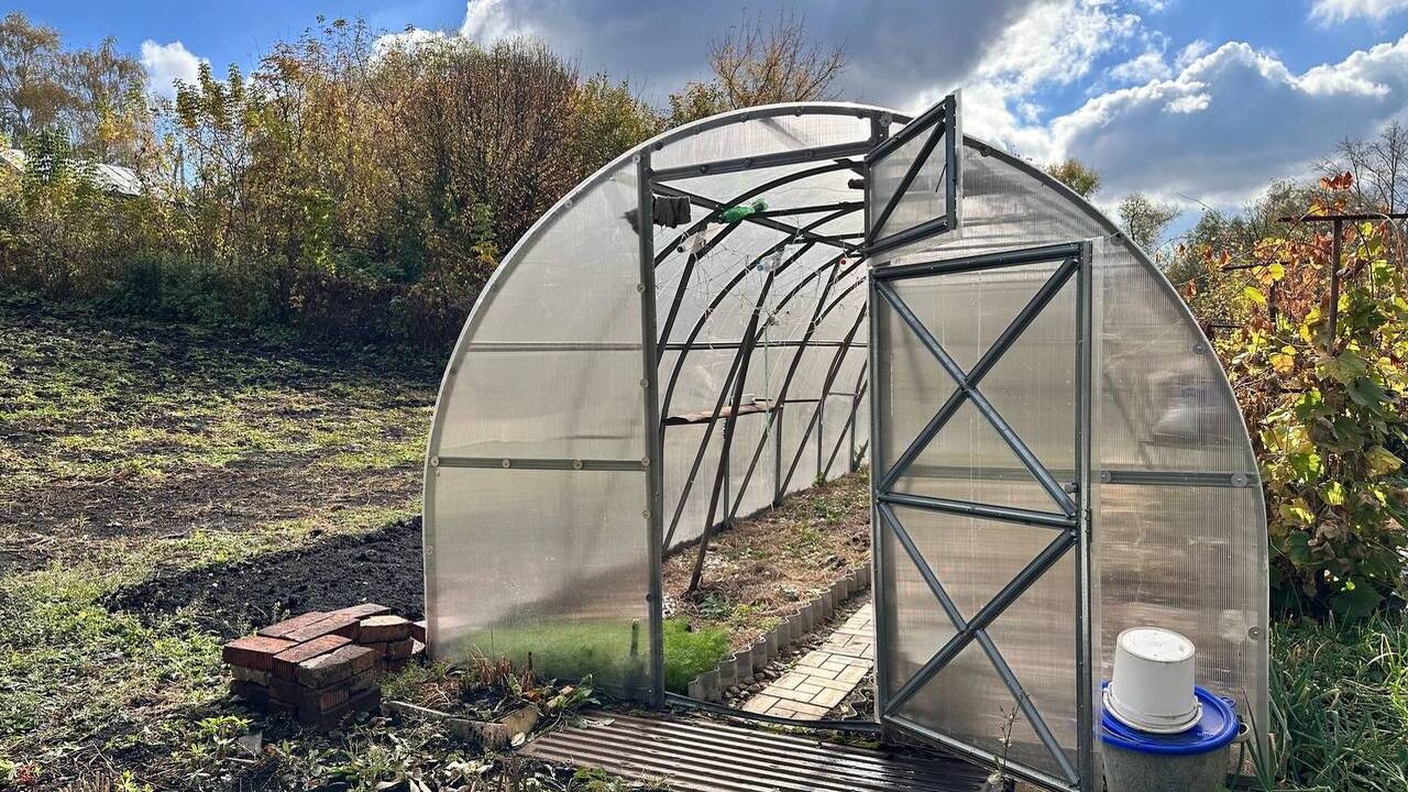 В одной теплице можно вырастить десятки сортов ...