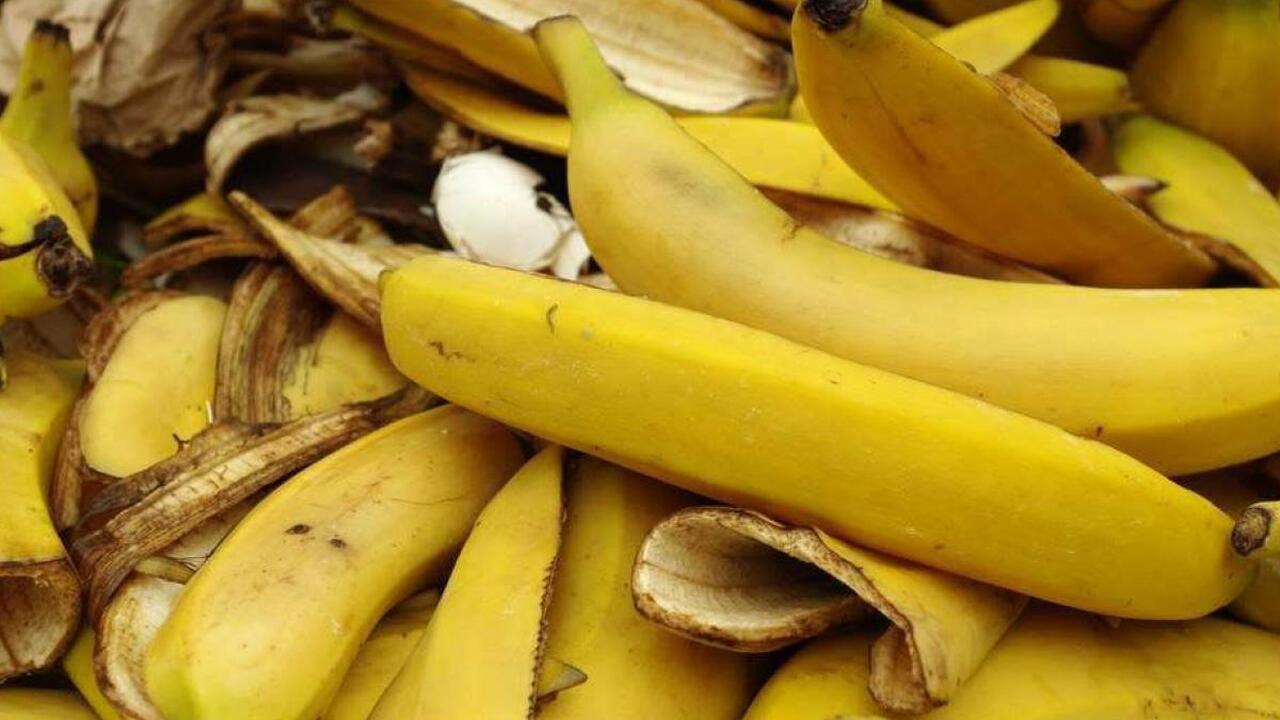Банановую кожуру посыпаю солью — весь июнь не нарадуюсь своей смекалке: лучший совет для лентяев Как банановые шкурки могут стать натуральным уд...