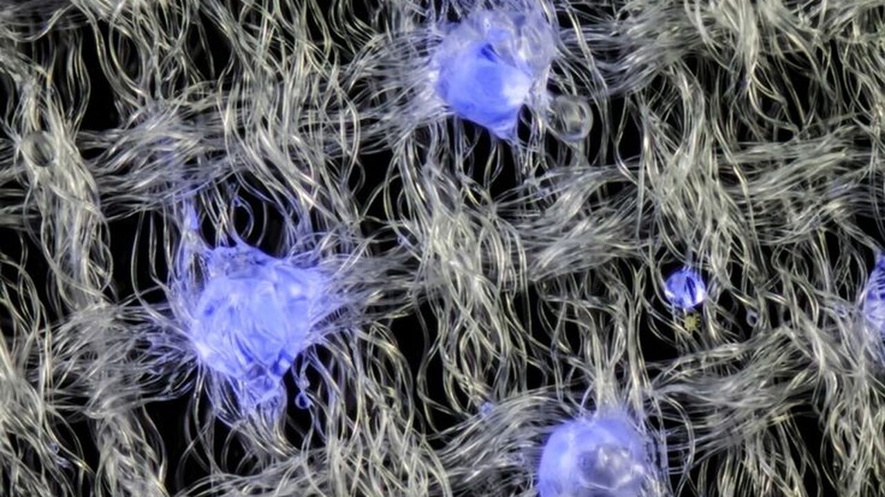 Учёные разрабатывают светящиеся наночастицы для ранней диагностики рака Учёные из Гонконга разрабатывают светящиеся нан...