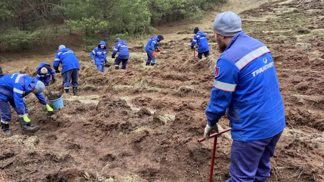 АО «Транснефть – Прикамье» активно поддержало э...