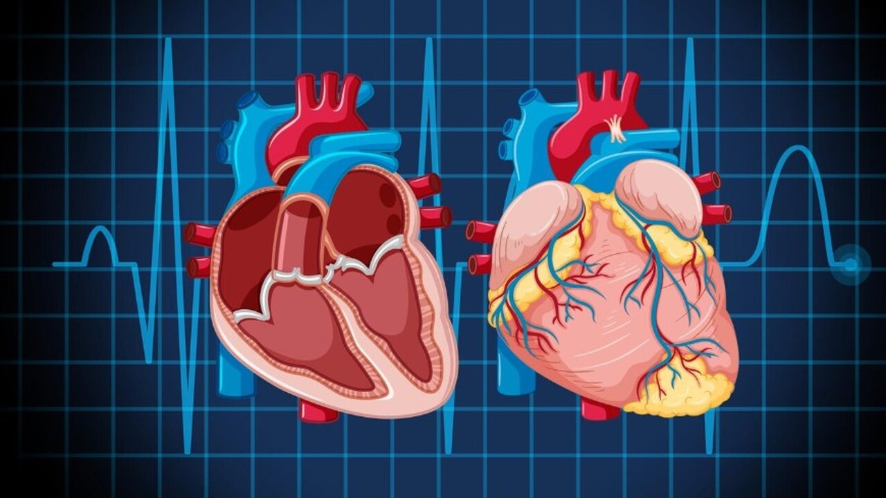 Гипертоникам назвали простой способ улучшить здоровье сердца В рамках исследования, проведенного учеными из ...