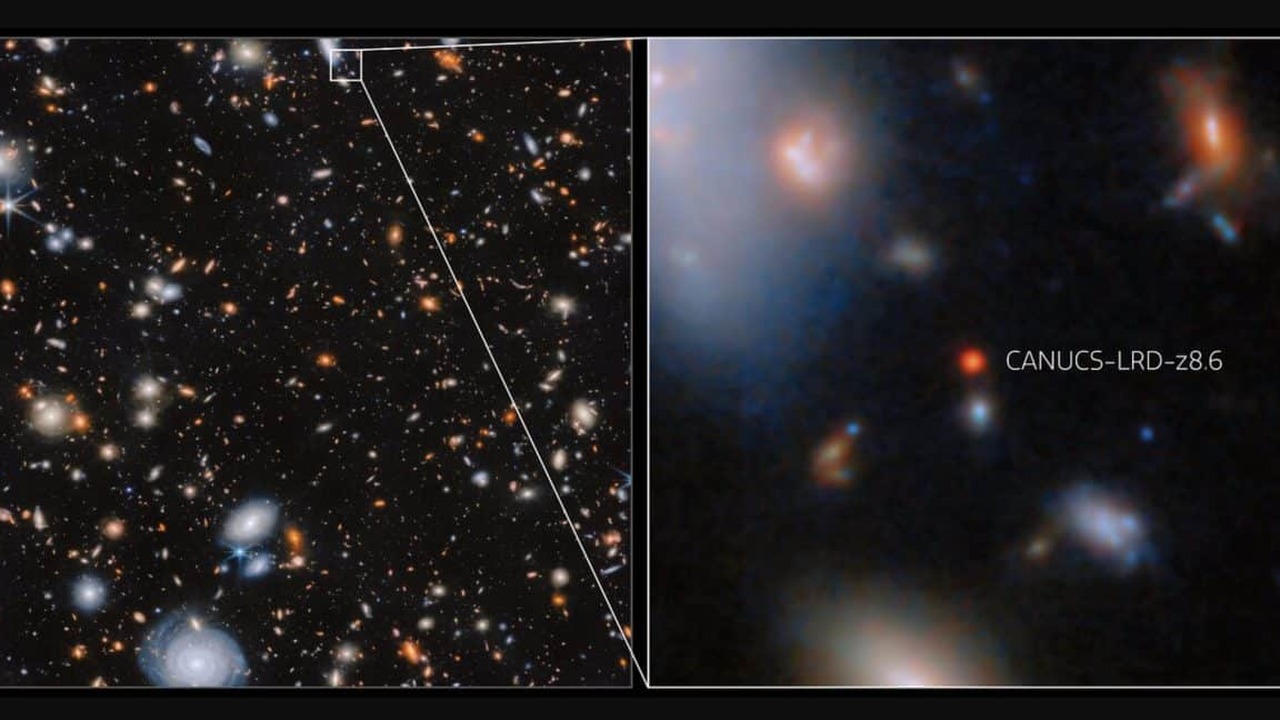 Используя данные телескопа «Джеймс Уэбб», астро...