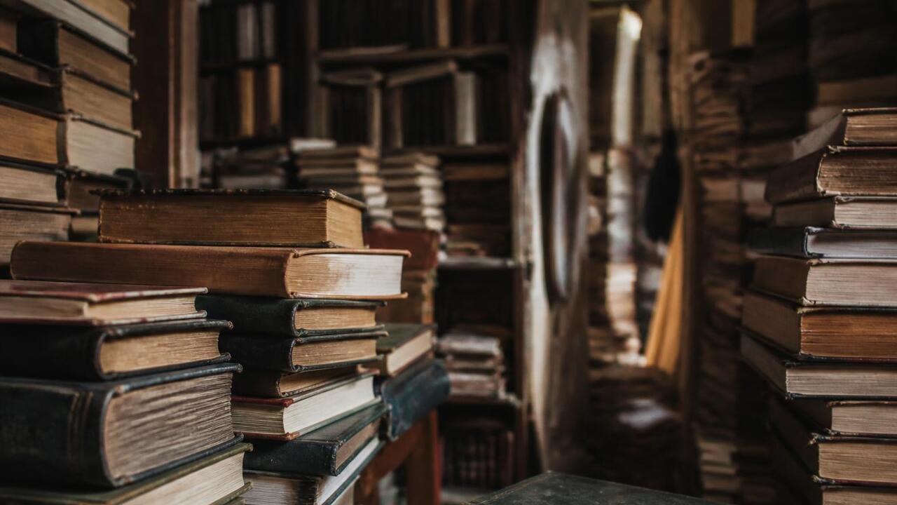 Американские компании скупают старые книги в Европе для обучения ИИ Европейские букинистические магазины фиксируют ...