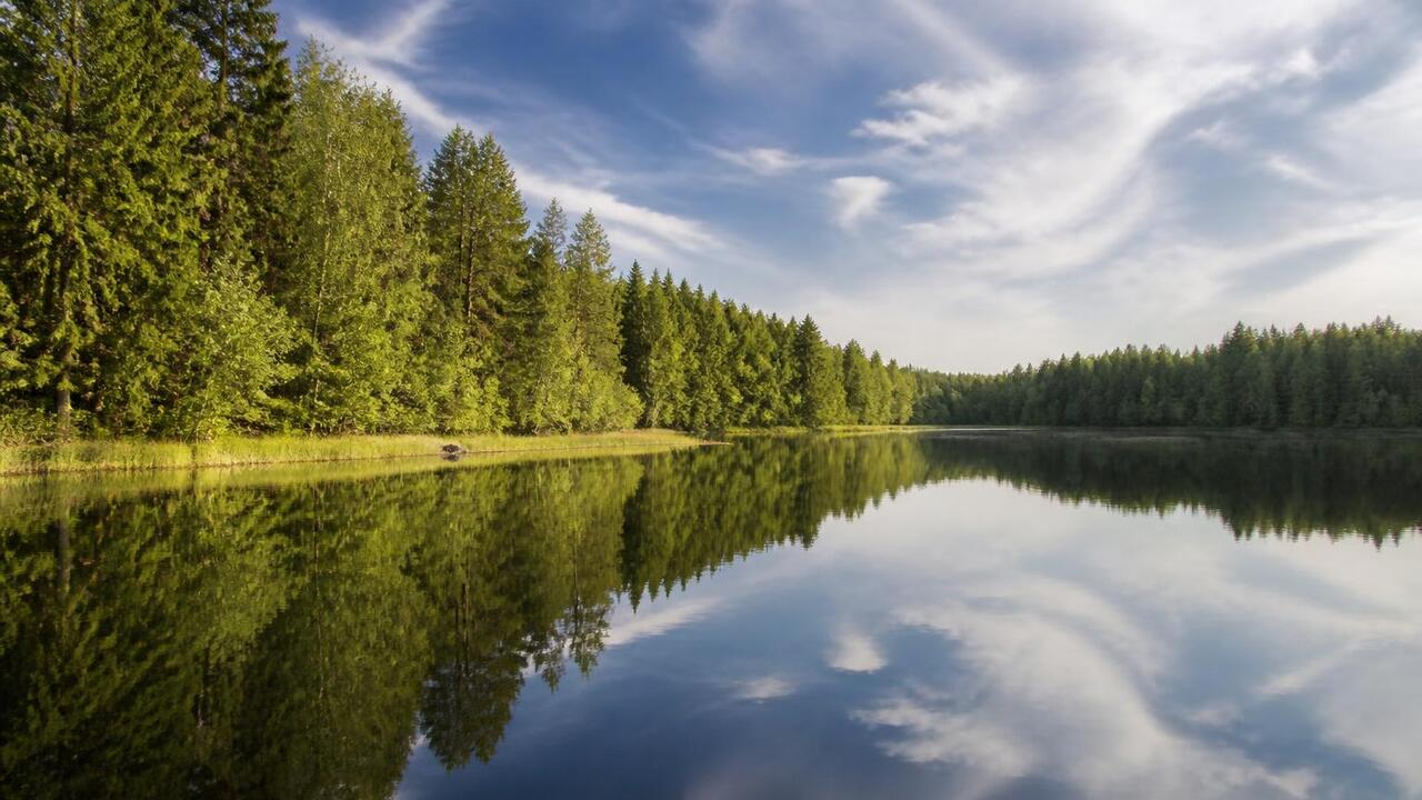 Озеро Белое в Рязанской области признано самым ...