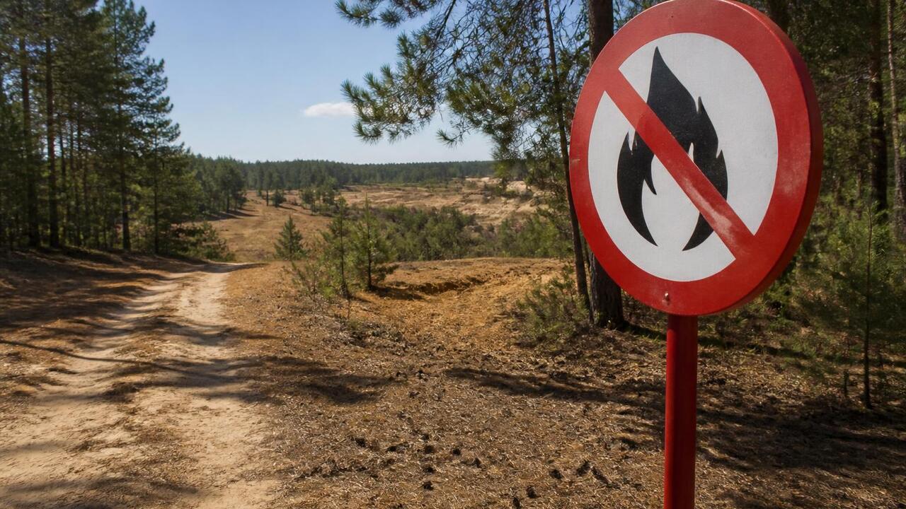 В августе в Татарстане прогнозируют рост пожароопасности В августе в Татарстане прогнозируют рост пожаро...