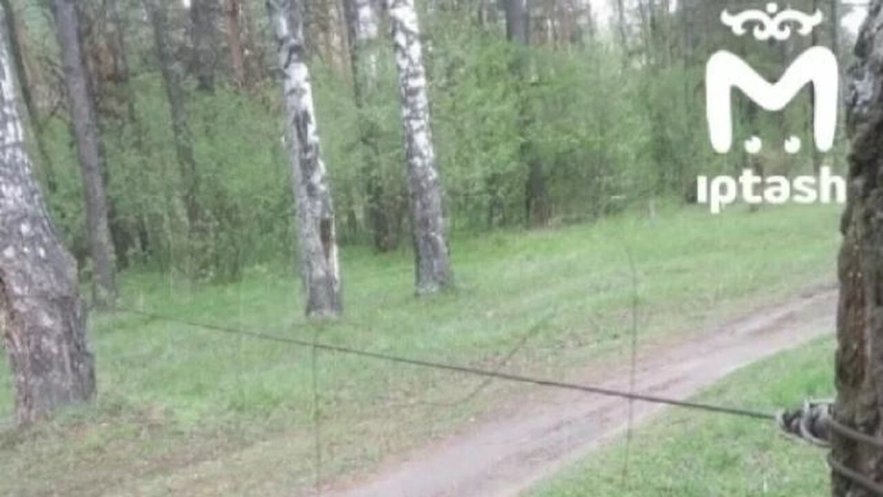 В Татарстане подросток на питбайке чуть не погиб, влетев в натянутый трос Под Казанью 17-летний мотоциклист наехал на мет...
