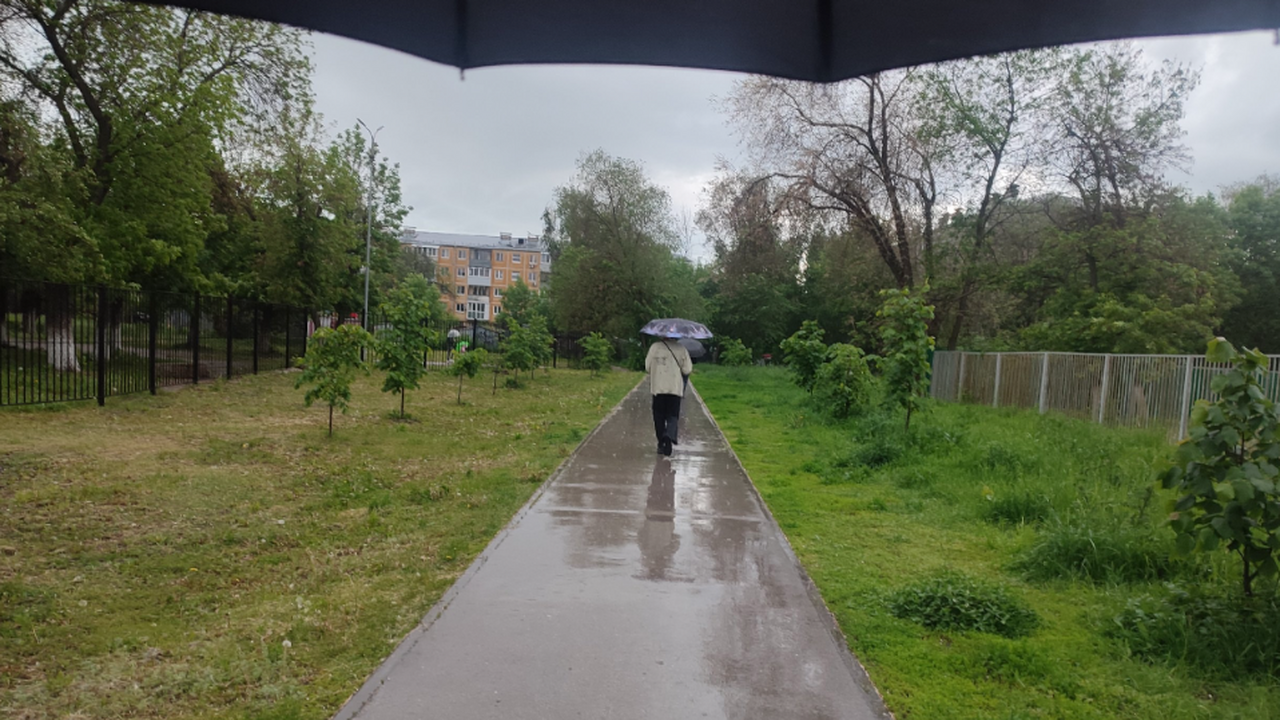 В Татарстане в ближайшие дни ожидается прохладная погода с дождями и грозами 3 июня прогнозируются осадки