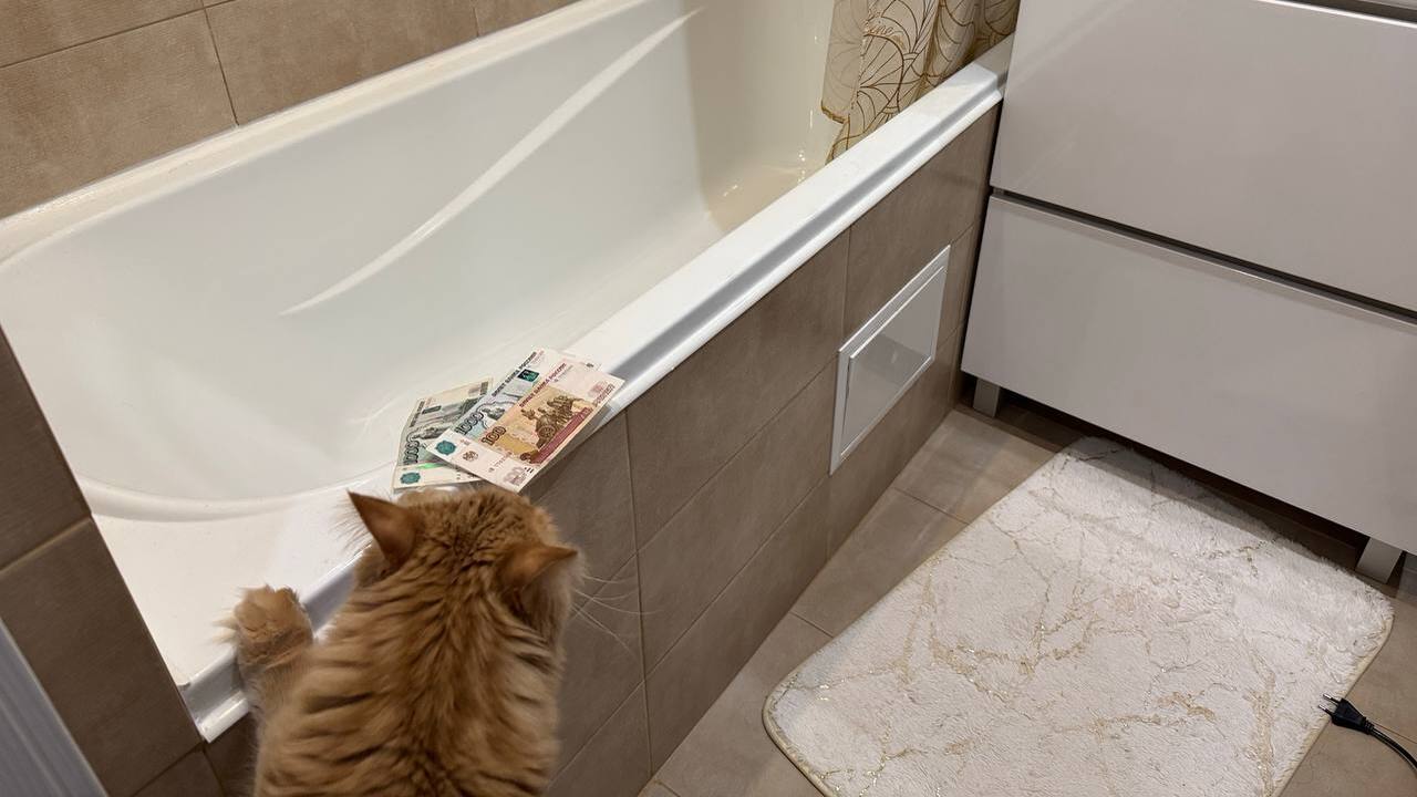 Пенсионерам готовят новую льготу по оплате ЖКУ,...