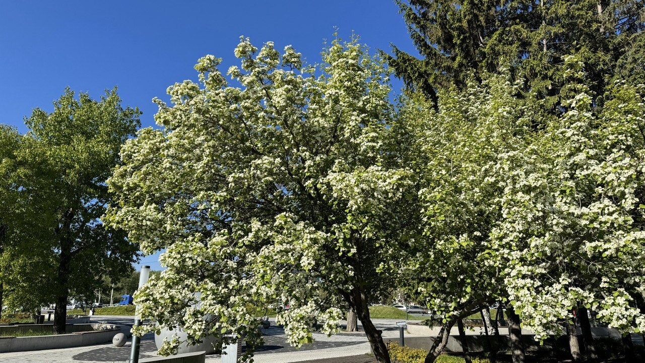 Весна 2026 года обещает стать испытанием на тер...