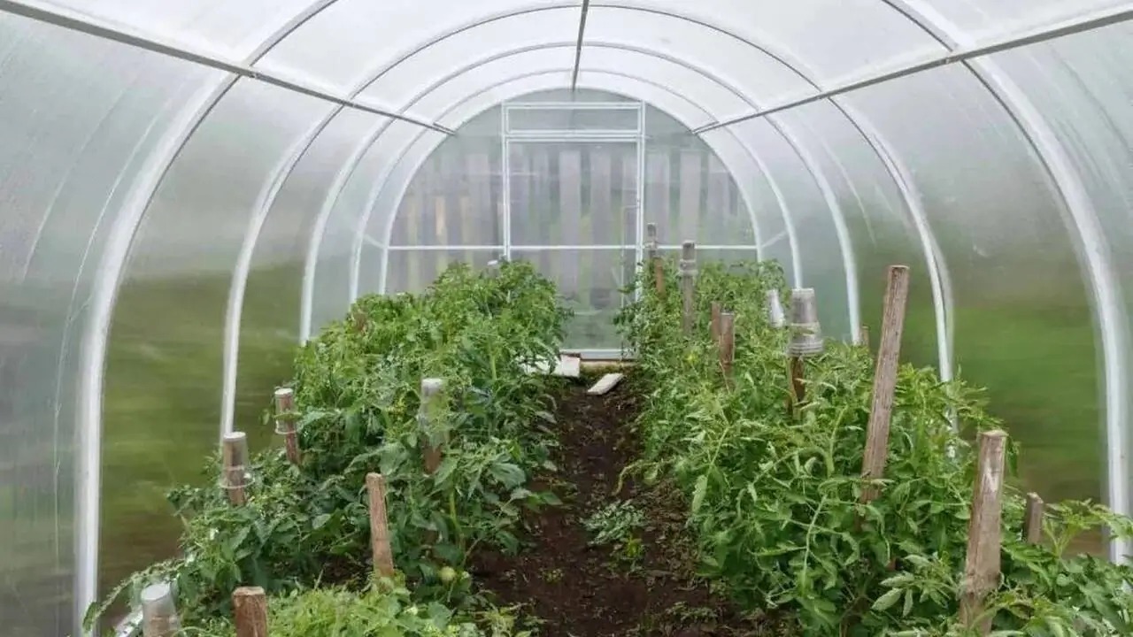 Даже самое действенное средство не принесёт рез...