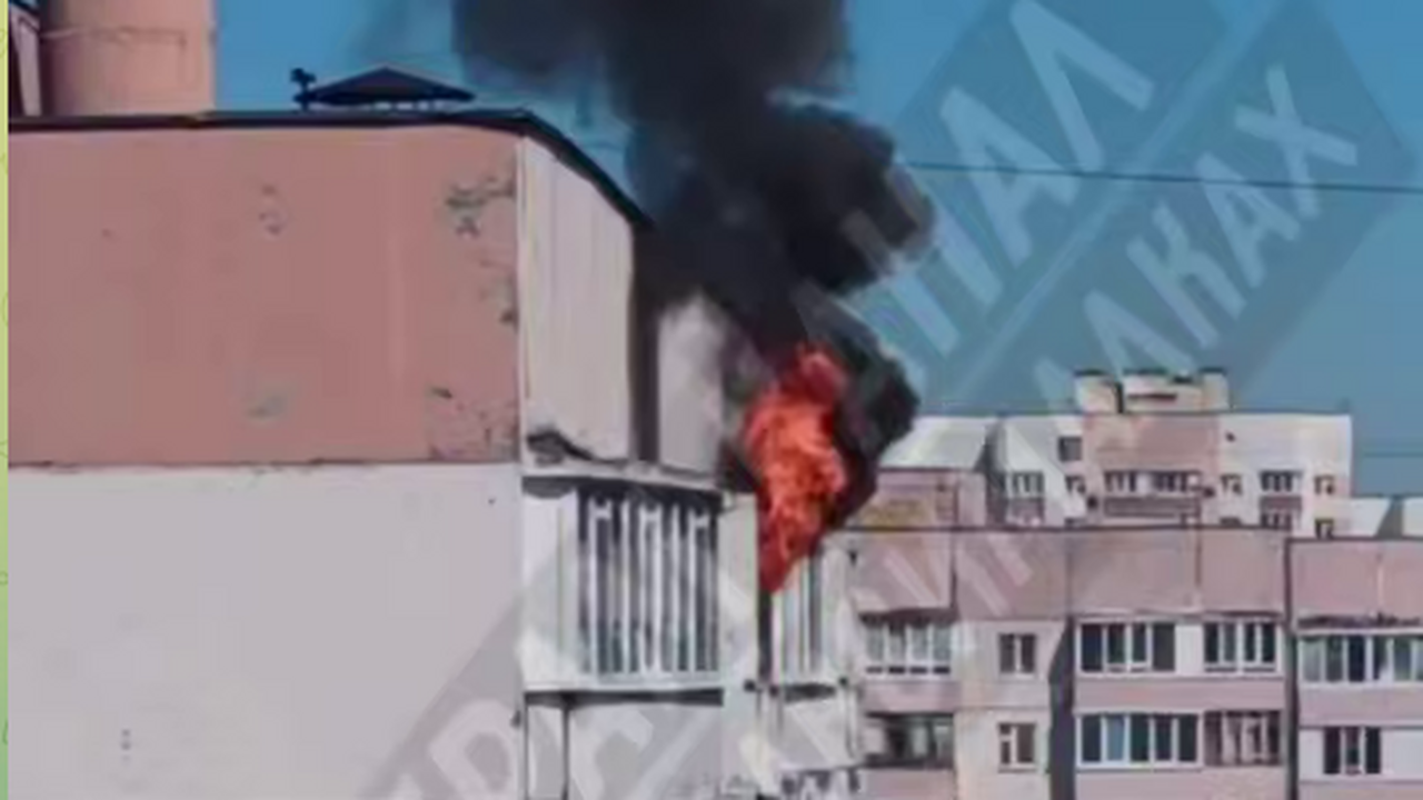 В Казани пожарные спасли собаку из горящей квартиры на Абсалямова В момент возгорания в квартире находился только...