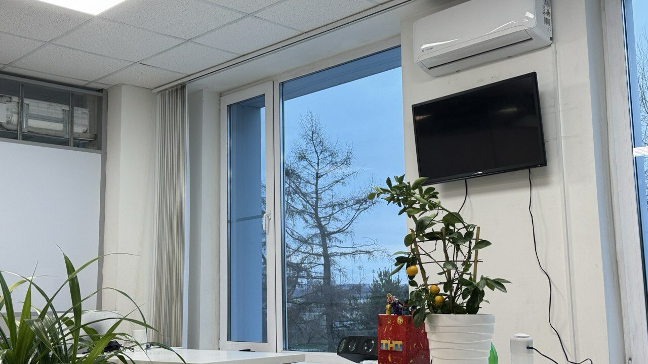 Из окон не будет дуть даже в страшную метель: этот простой предмет на подоконнике блокирует сквозняки и источает ароматы леса Зимой многие сталкиваются с проблемой сквозняко...