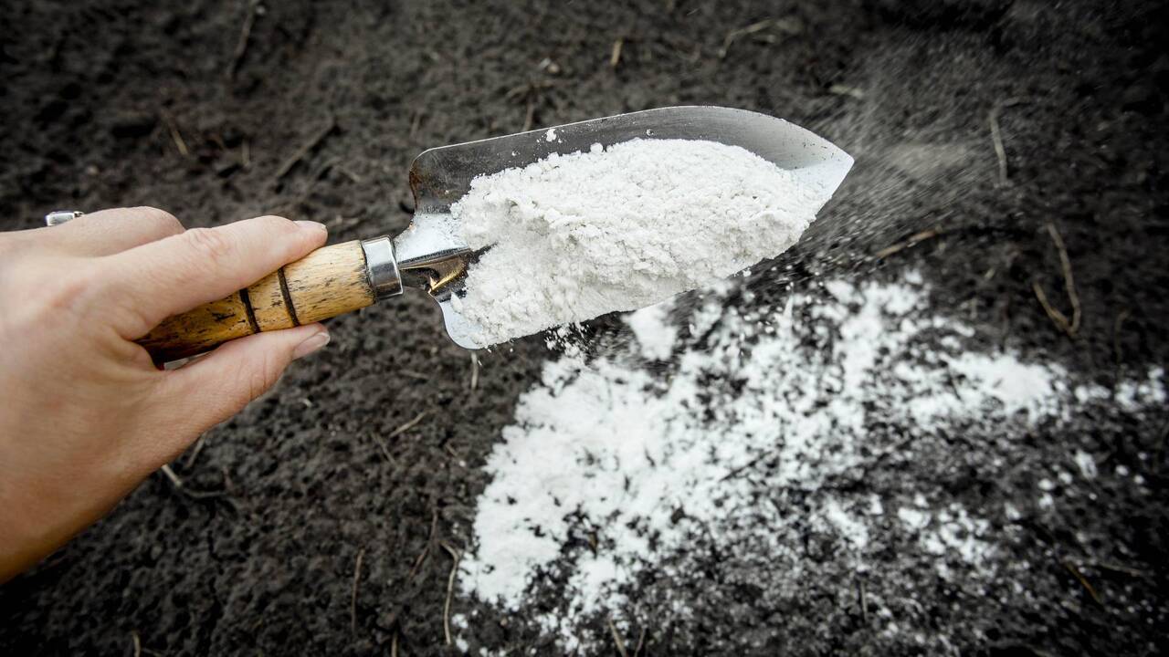 После завершения дачного сезона земля на участк...