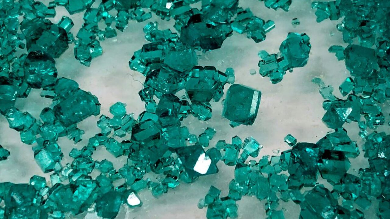 Группа учёных под руководством специалистов Сан...